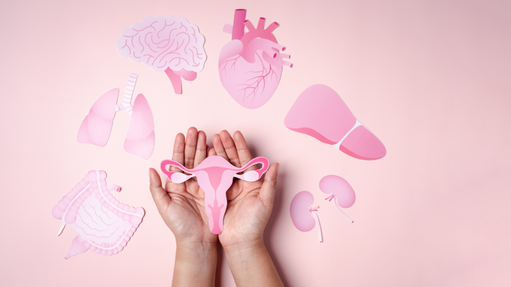 SAÚDE da MULHER – O que você PRECISA saber